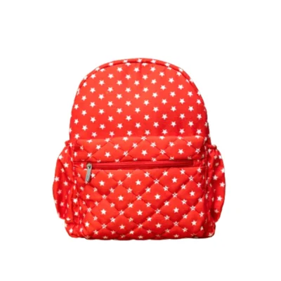 All Star Picnic Backpack