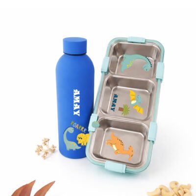 Dino Bottle Tiffin Combo